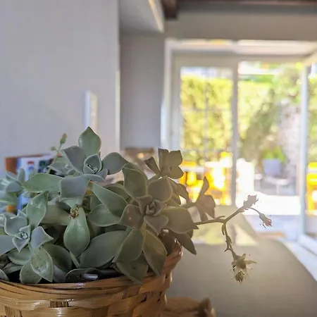 Vakantiehuis Maison Du Soleil Chez Isa *